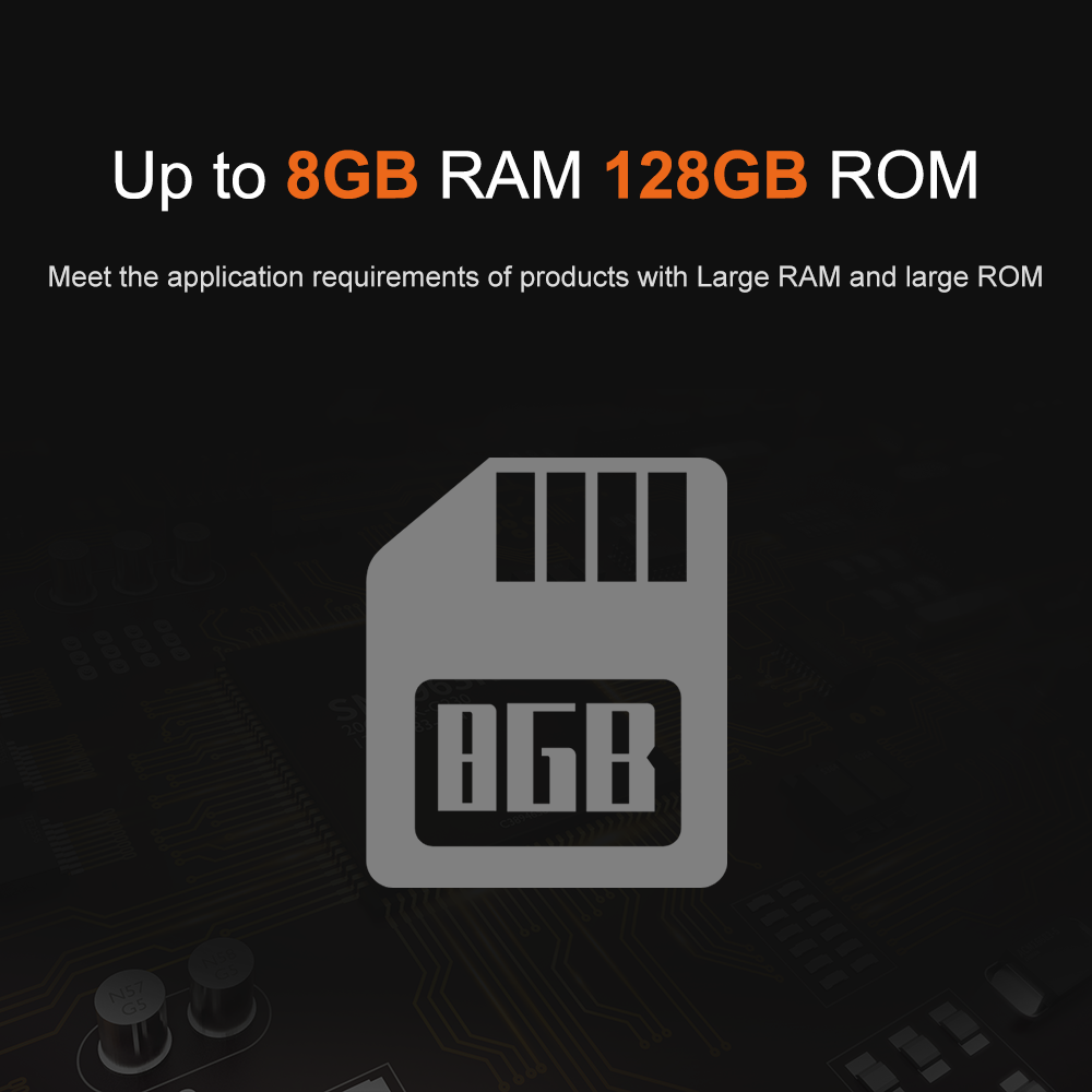 Liontron RK3566 DDR4 8GB RAM A - Open Vending Machine 리뷰 및 가격